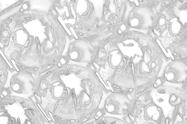 Çizik ve çatlaklarla bembeyaz bir doku.