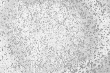 soyut grunge gri arkaplan