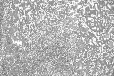 soyut grunge gri arkaplan