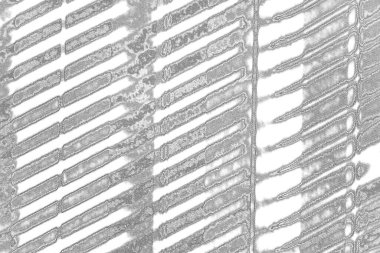 Çizik ve çatlaklarla metal doku