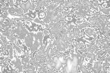 Çizik ve çatlaklarla bembeyaz bir doku.