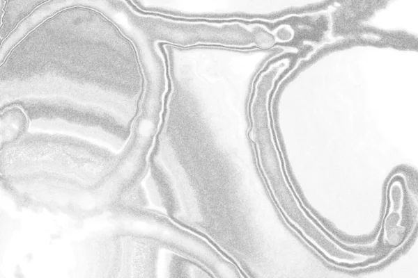 Бетонный Серый Фон — стоковое фото
