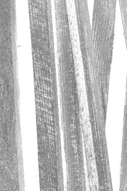 soyut grunge gri arkaplan