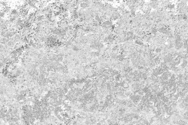 Kopyalama alanı için kirli beton doku arkaplanı 