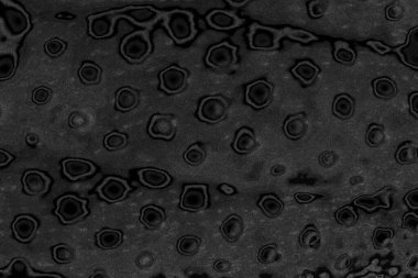  gri beton döşeme arka plan duvarı, tam çerçeve