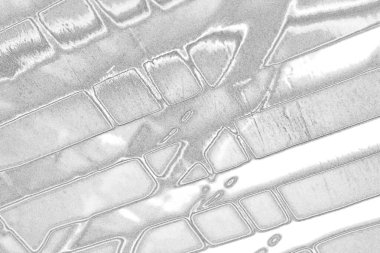 Çizik ve çatlaklarla dolu pis bir doku.