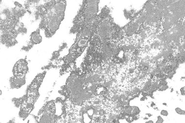 Kopyalama alanı için pis doku arkaplanı 