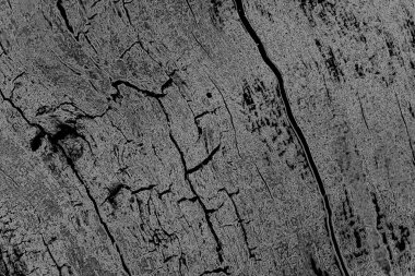 Monokrom dokusu. Görüntü, siyah ve beyaz tonları da içeriyor. Soyut arkaplan. 