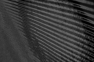 Çizik ve çatlaklarla dolu pis bir doku.