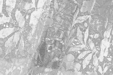  gri beton döşeme arka plan duvarı, tam çerçeve