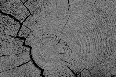 Çizik ve çatlaklarla dolu pis bir doku.