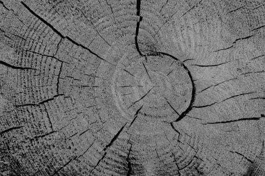 Çizik ve çatlaklarla dolu pis bir doku.