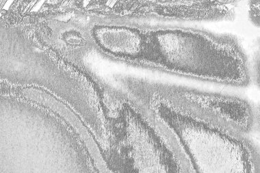 Çizik ve çatlaklarla dolu gri bir doku.