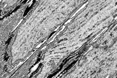 Çizik ve çatlaklarla dolu gri bir doku.