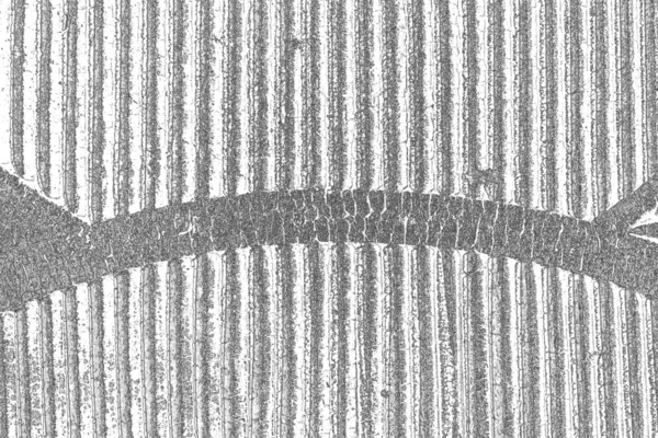 傷や亀裂のある灰色のテクスチャ — ストック写真