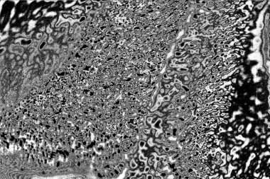 Çizik ve çatlaklarla dolu gri bir doku.