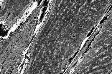 Çizik ve çatlaklarla dolu gri bir doku.