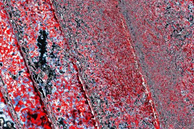 grunge soyut doku, arkaplan. Boşluğu kopyala  