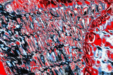 grunge soyut doku, arkaplan. Boşluğu kopyala  