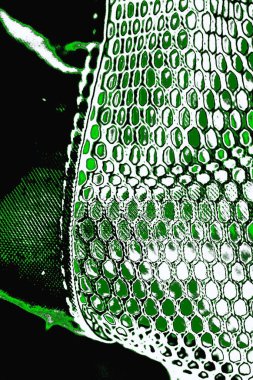 grunge soyut doku, arkaplan. Boşluğu kopyala  