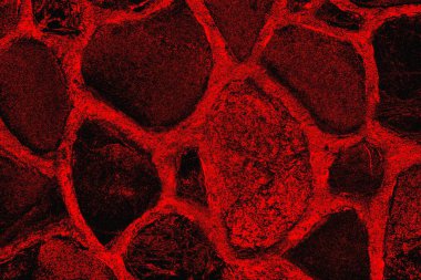 grunge soyut doku, arkaplan. Boşluğu kopyala  