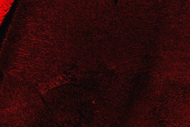 grunge soyut doku, arkaplan. Boşluğu kopyala  