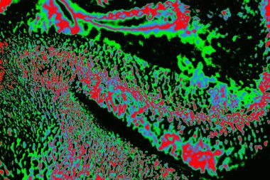 grunge soyut doku, arkaplan. Boşluğu kopyala  