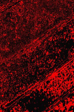 grunge soyut doku, arkaplan. Boşluğu kopyala  