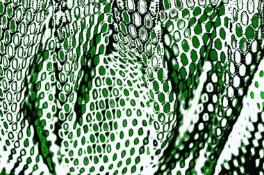 grunge soyut doku, arkaplan. Boşluğu kopyala  