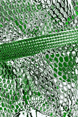 grunge soyut doku, arkaplan. Boşluğu kopyala  