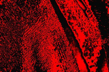 grunge soyut doku, arkaplan. Boşluğu kopyala  