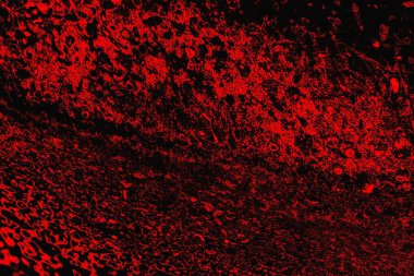 grunge soyut doku, arkaplan. Boşluğu kopyala  