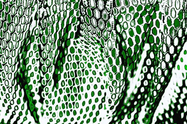 grunge  abstract  texture, background. Copy space  