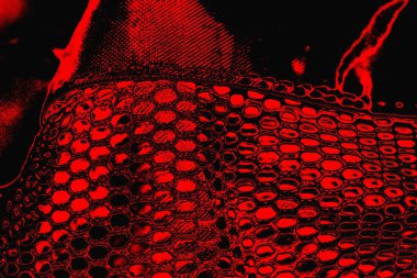 grunge soyut doku, arkaplan. Boşluğu kopyala  