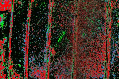 grunge soyut doku, arkaplan. Boşluğu kopyala  