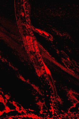 grunge soyut doku, arkaplan. Boşluğu kopyala  