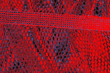 grunge soyut doku, arkaplan. Boşluğu kopyala  