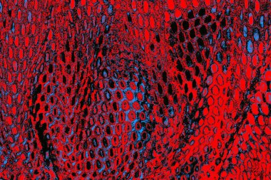 grunge soyut doku, arkaplan. Boşluğu kopyala  