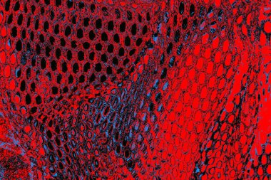 grunge soyut doku, arkaplan. Boşluğu kopyala  