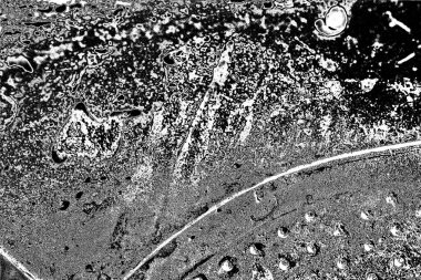 grunge soyut doku, arkaplan. Boşluğu kopyala  