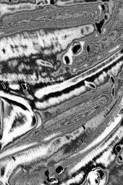 grunge soyut doku, arkaplan. Boşluğu kopyala  