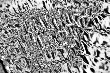 grungy soyut siyah beyaz desenli arkaplan