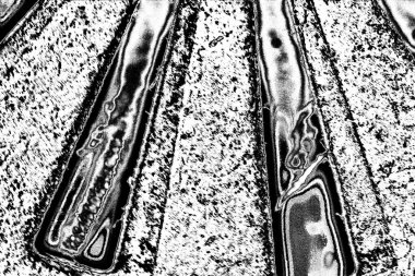 grungy soyut siyah beyaz desenli arkaplan