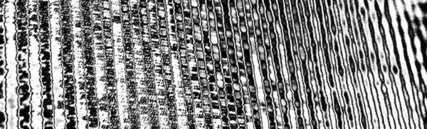 grungy soyut desenli arka plan