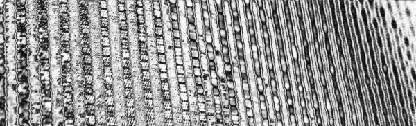 Çizik ve çatlaklarla metal doku 