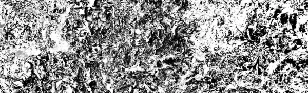 Parmelia saxatilis liken soyut desenli arkaplan