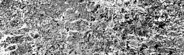 Parmelia Saxatilis Lichen Grungy Abstrakt Strukturerad Bakgrund — Stockfoto