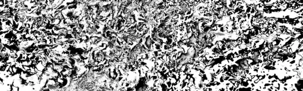 Parmelia Saxatilis Lichen Grungy Abstrait Texturé Fond — Photo