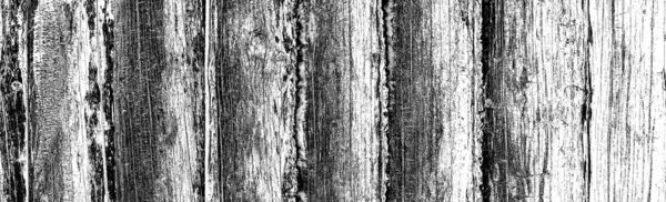 Abstract Grey Old Wooden Texture — Stock Photo, Image