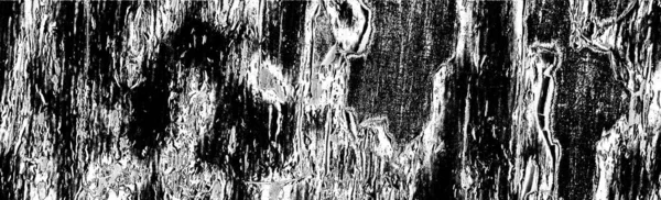 Abstract Black White Grunge Background — Stock Photo, Image